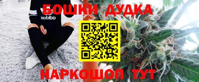 крисы Кунгур