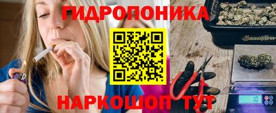 крисы Кунгур