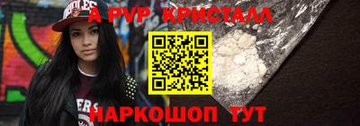 крисы Кунгур