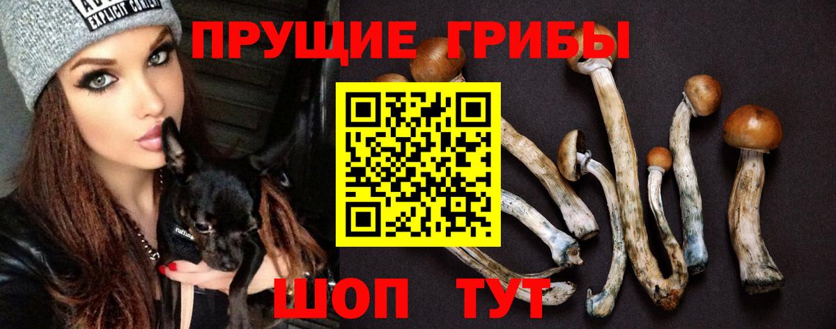 Псилоцибиновые грибы MAGIC MUSHROOMS Фрязино